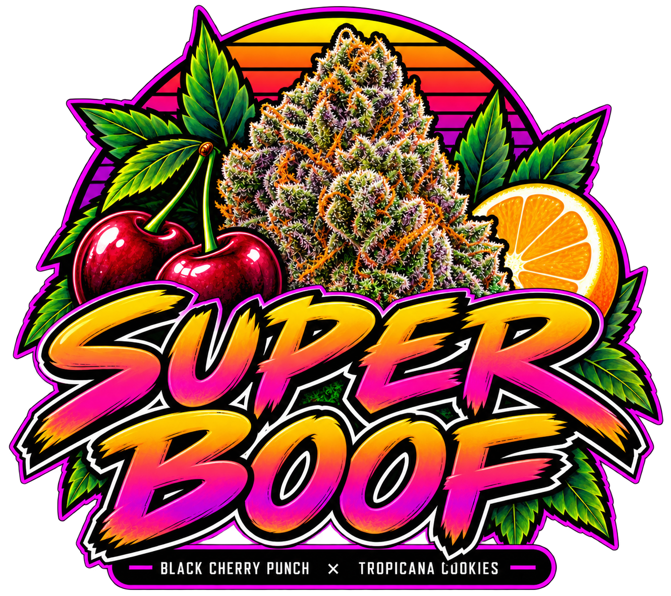 Super Boof