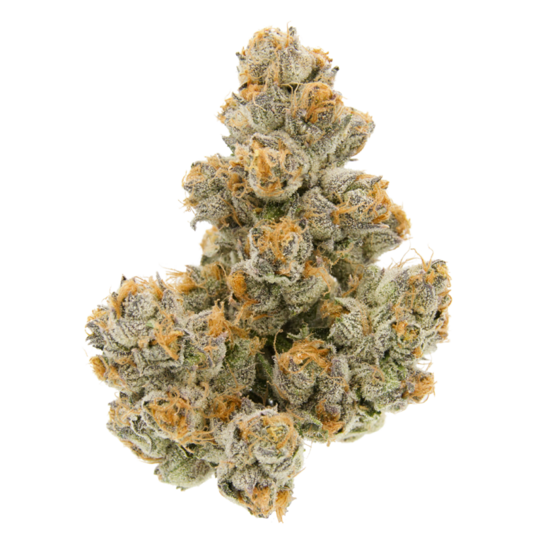 Tuscan Gelato